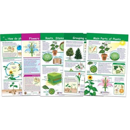 NEWPATH LEARNING All About Plants Bulletin Board Charts, Set of 5 94-3501